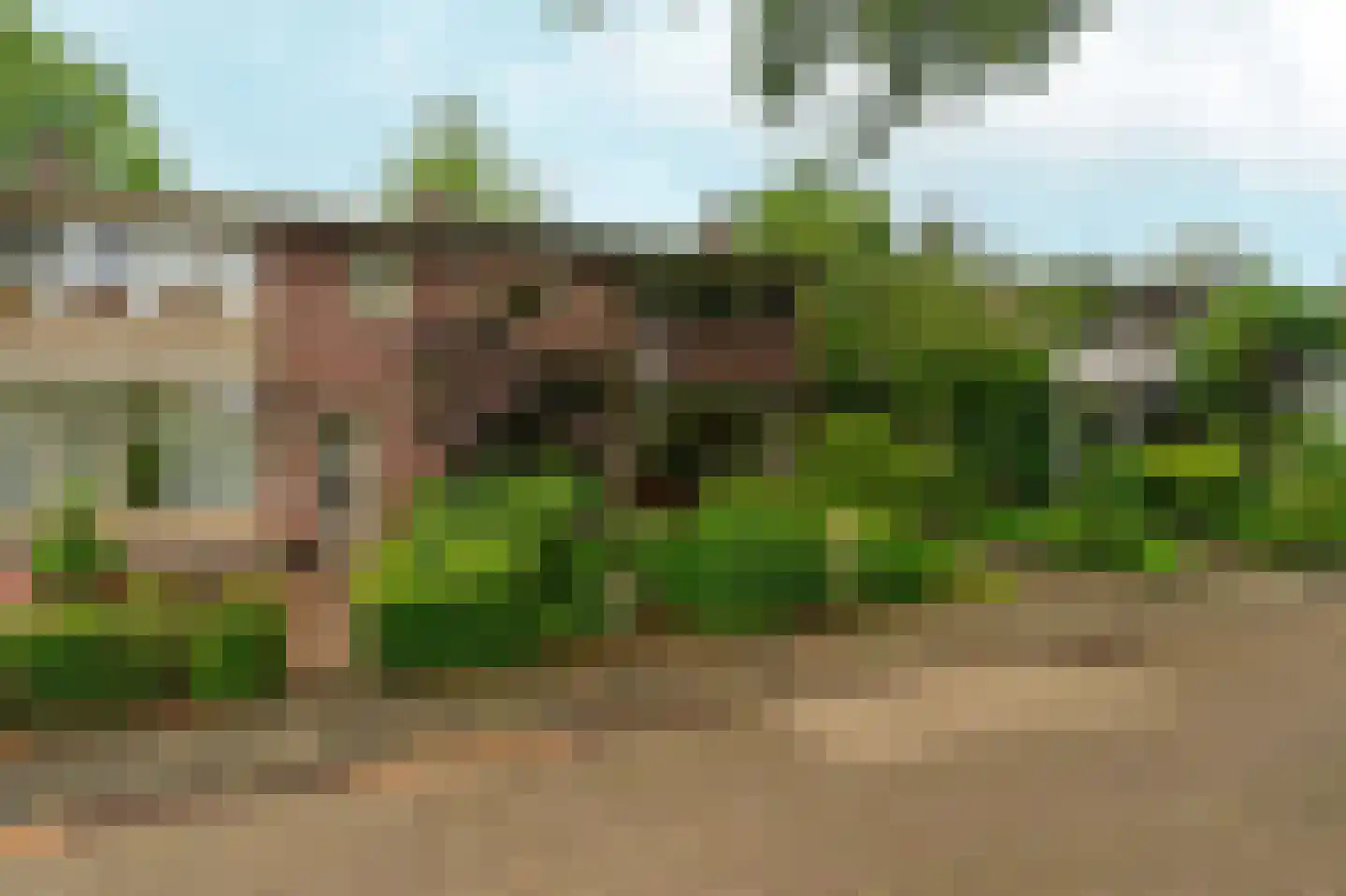 Salviastraat 22 Sint-Oedenrode thumbnail 44