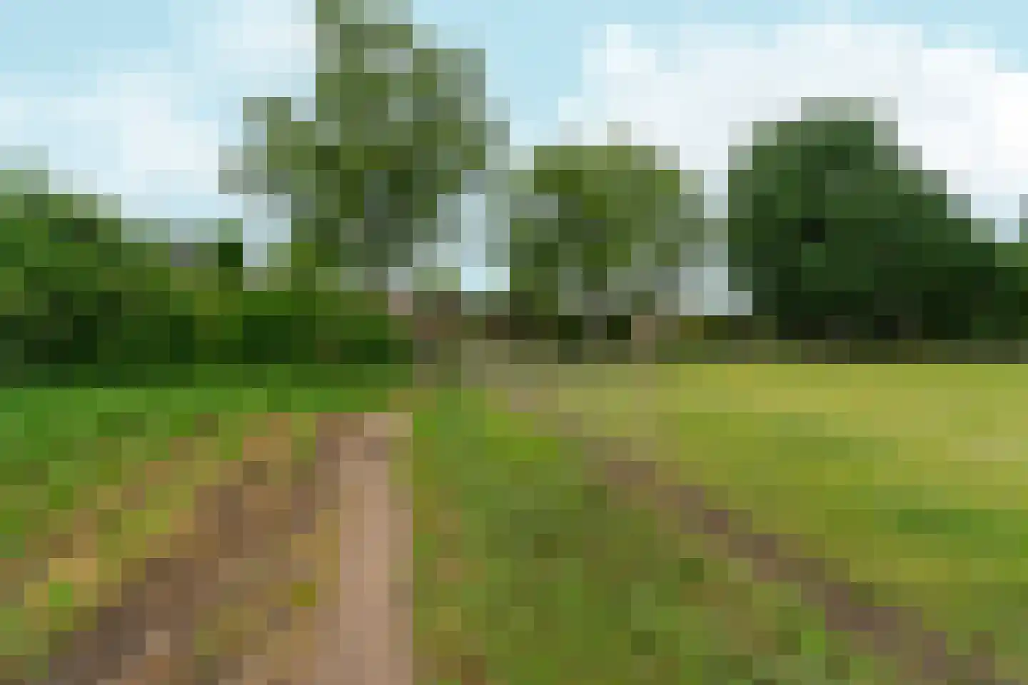 Salviastraat 22 Sint-Oedenrode thumbnail 47