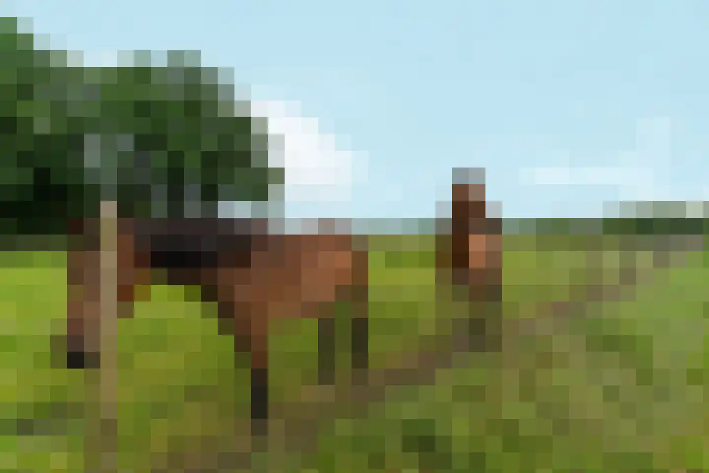 Salviastraat 22 Sint-Oedenrode thumbnail 48