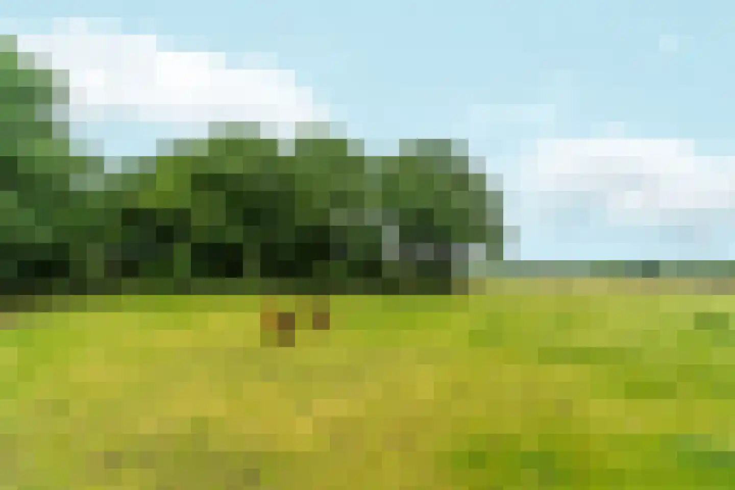 Salviastraat 22 Sint-Oedenrode thumbnail 50