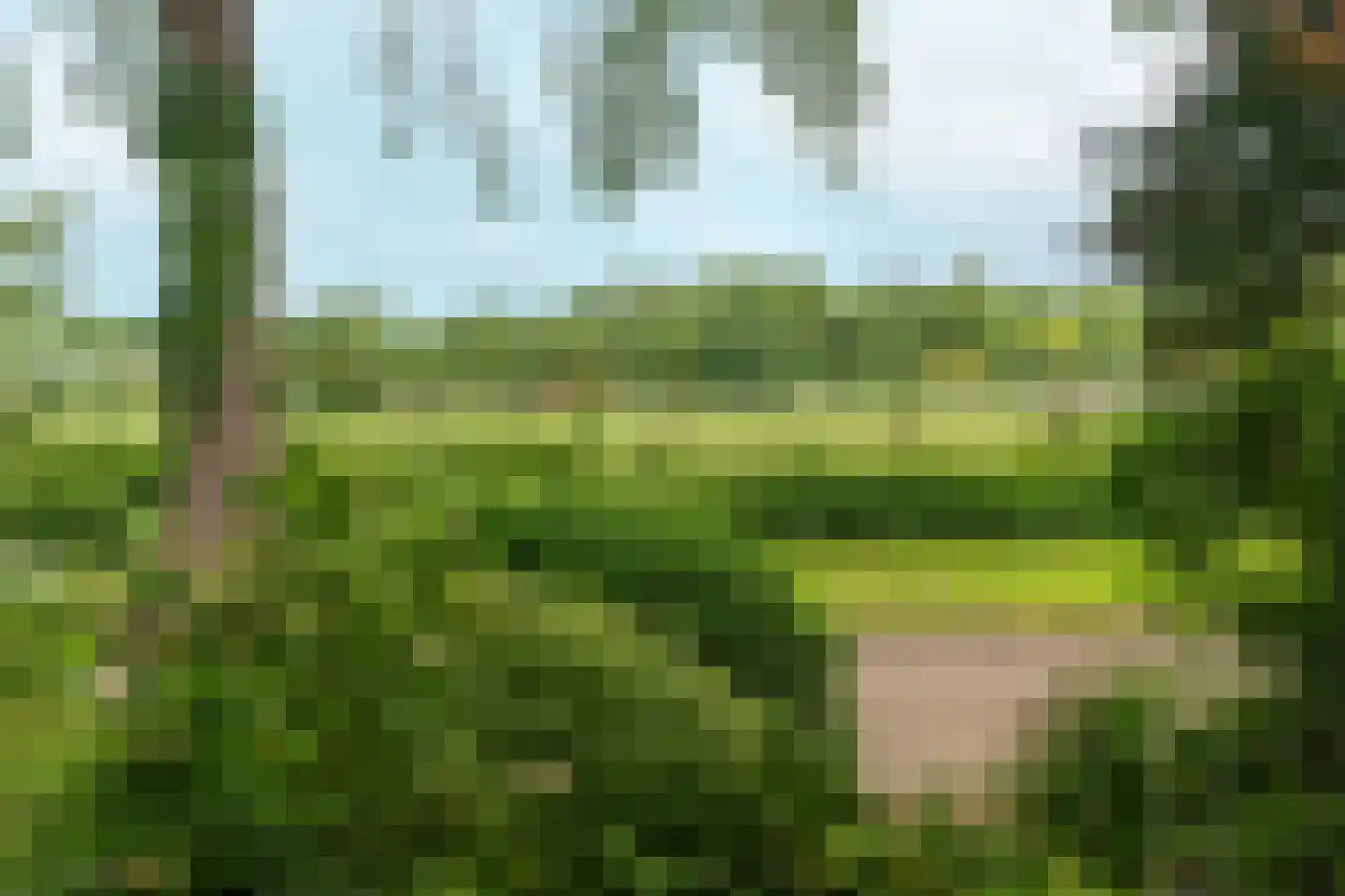 Salviastraat 22 Sint-Oedenrode thumbnail 7