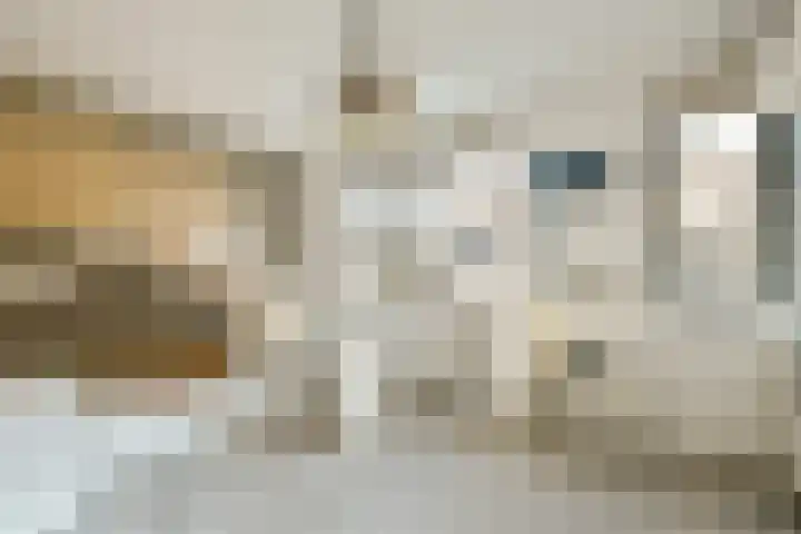 Salviastraat 36 Vlaardingen thumbnail 18