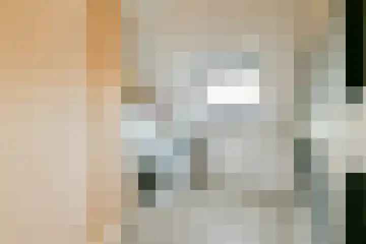 Salviastraat 36 Vlaardingen thumbnail 26