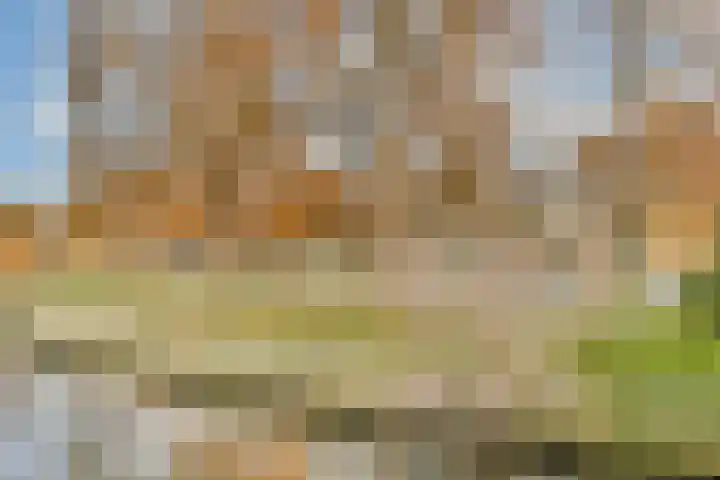 Salviastraat 36 Vlaardingen thumbnail 31