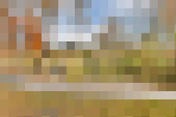 Salviastraat 36 Vlaardingen thumbnail 32