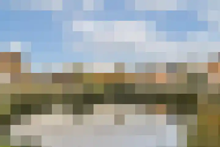 Salviastraat 36 Vlaardingen thumbnail 33