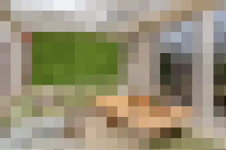 Salviastraat 47 Enschede thumbnail 30