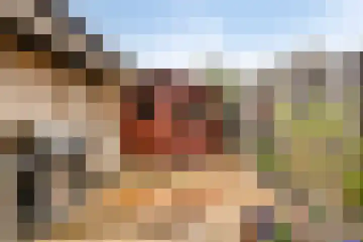 Salviastraat 47 Enschede thumbnail 32