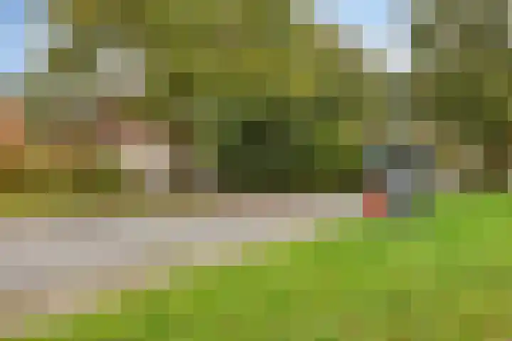 Salviastraat 47 Enschede thumbnail 36