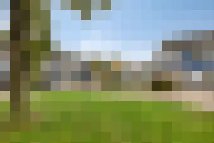 Salviastraat 47 Enschede thumbnail 4