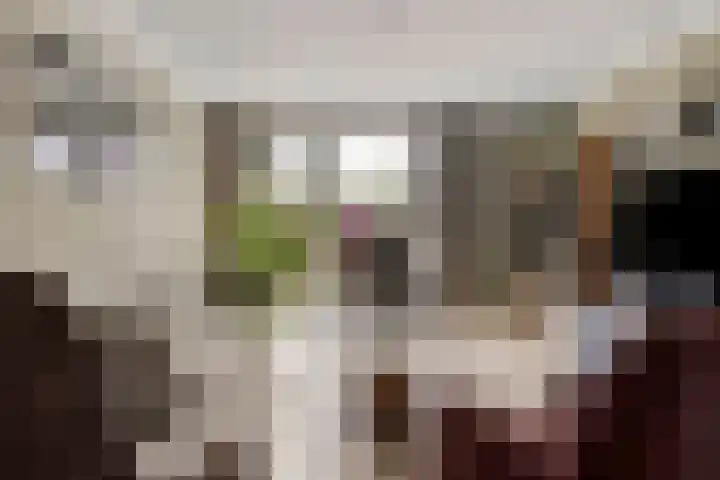 Salviastraat 47 Enschede thumbnail 7