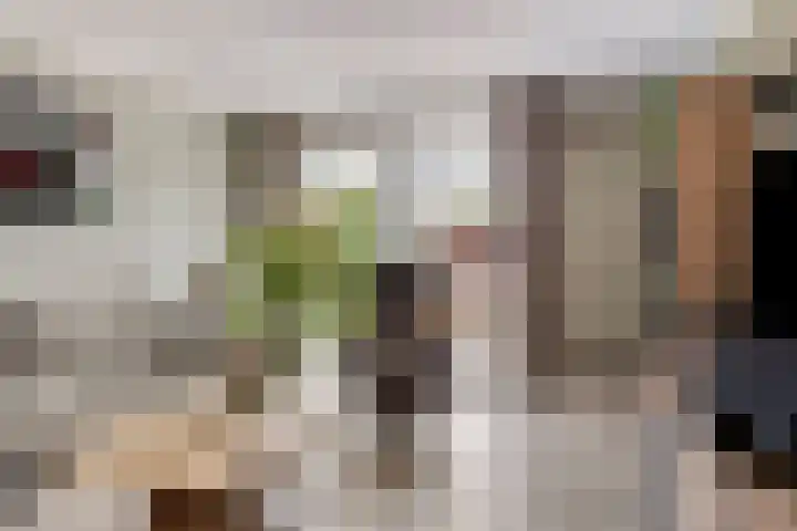 Salviastraat 47 Enschede thumbnail 8