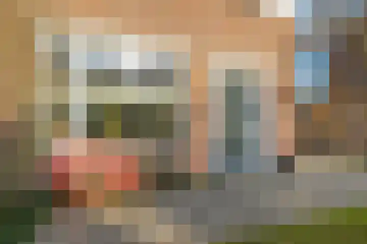 Salviastraat 7 Lent thumbnail 10