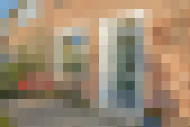 Salviastraat 7 Lent thumbnail 11