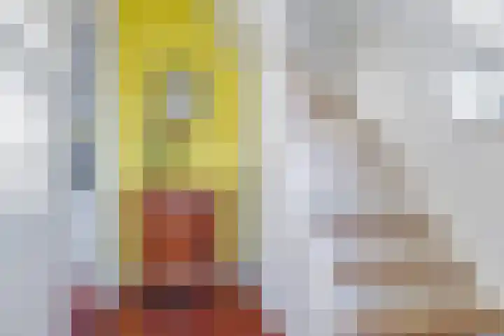 Salviastraat 7 Lent thumbnail 13