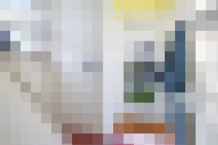 Salviastraat 7 Lent thumbnail 14