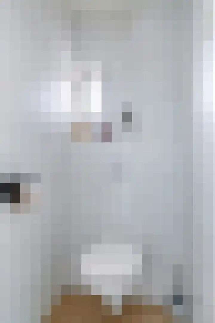 Salviastraat 7 Lent thumbnail 15