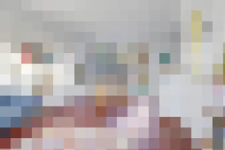Salviastraat 7 Lent thumbnail 21