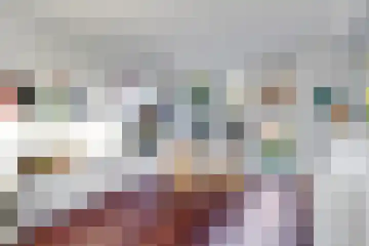 Salviastraat 7 Lent thumbnail 22