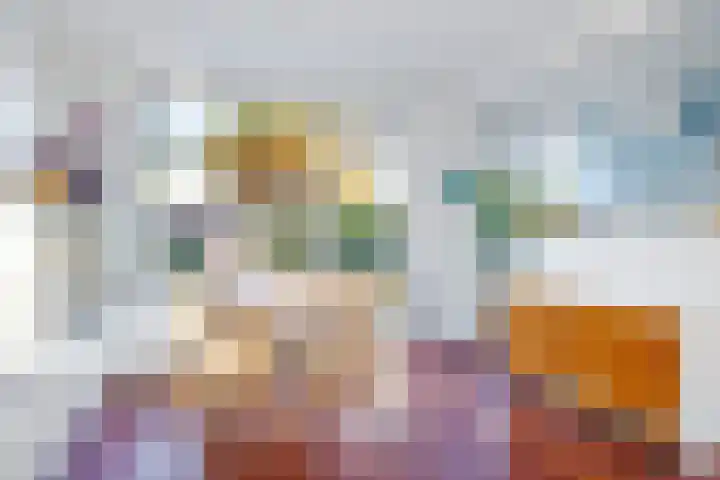 Salviastraat 7 Lent thumbnail 24
