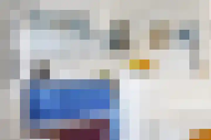 Salviastraat 7 Lent thumbnail 28