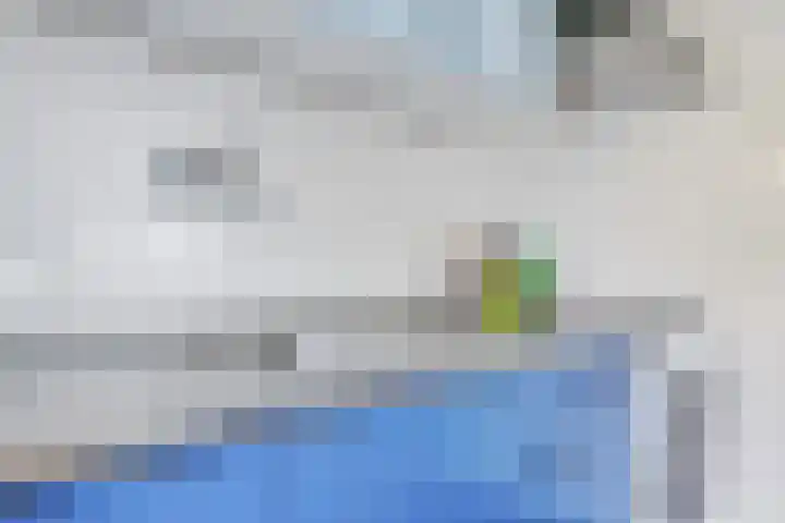 Salviastraat 7 Lent thumbnail 31