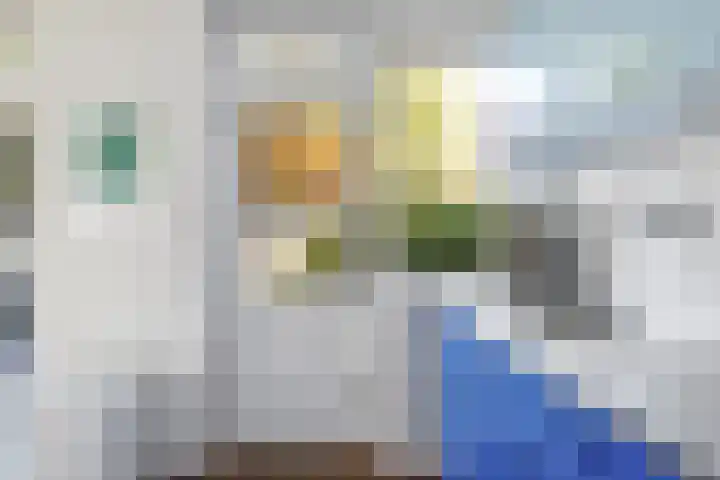 Salviastraat 7 Lent thumbnail 33