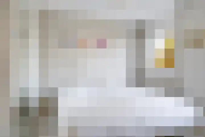 Salviastraat 7 Lent thumbnail 39