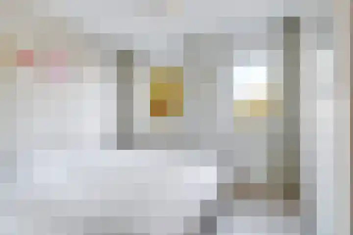 Salviastraat 7 Lent thumbnail 40
