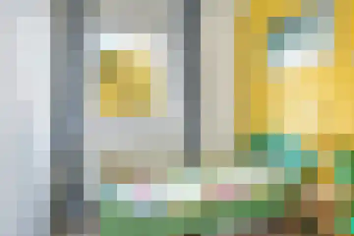 Salviastraat 7 Lent thumbnail 41