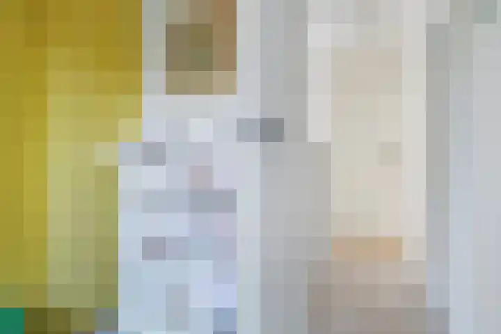 Salviastraat 7 Lent thumbnail 42