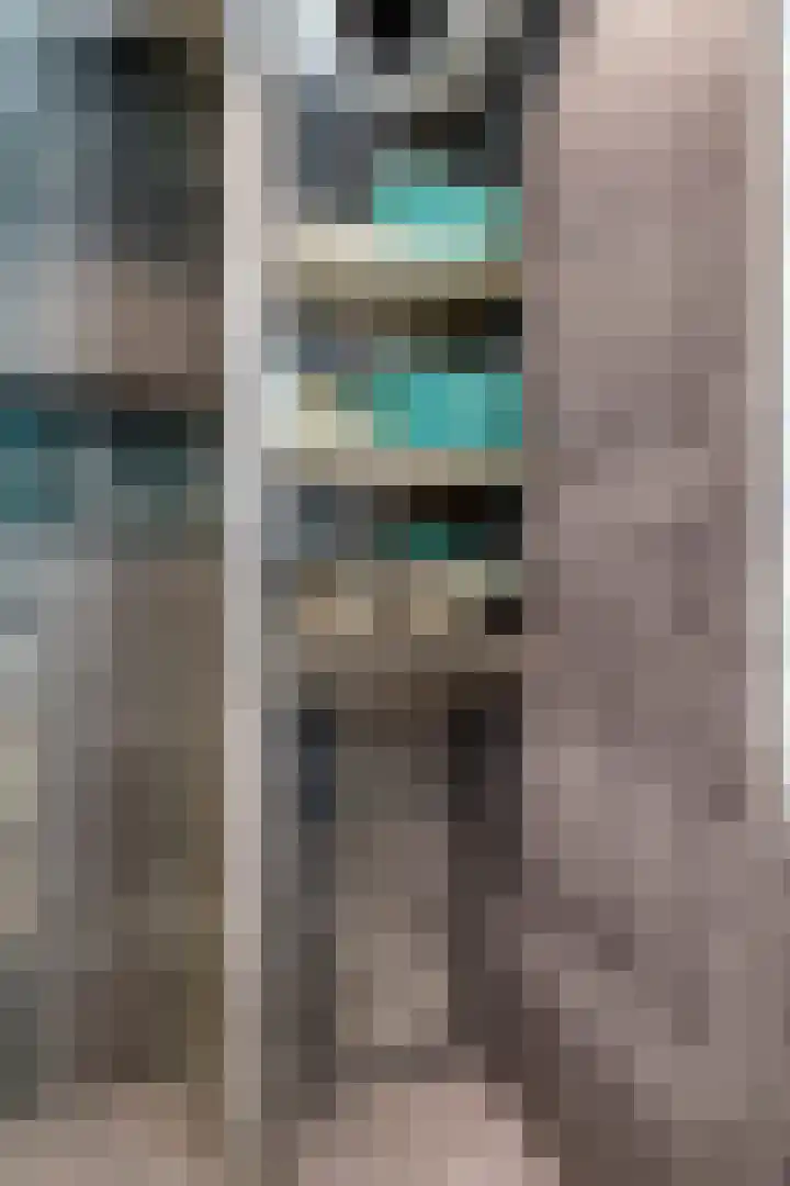 Salviastraat 7 Lent thumbnail 47