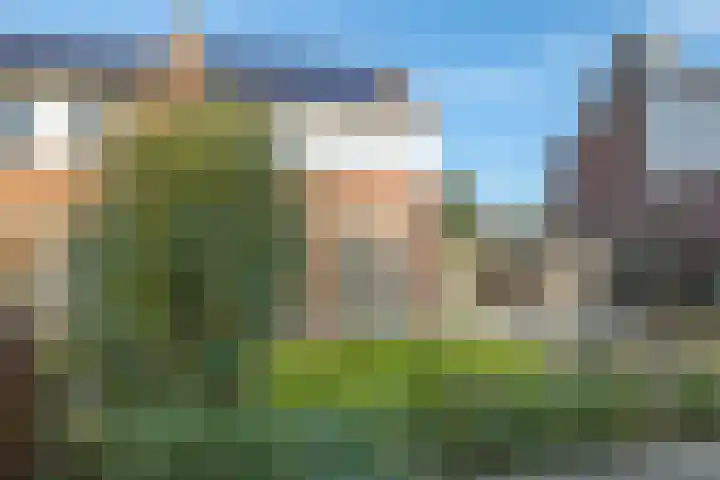 Salviastraat 7 Lent thumbnail 5