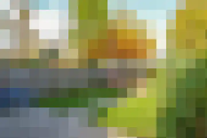 Salviastraat 7 Lent thumbnail 59