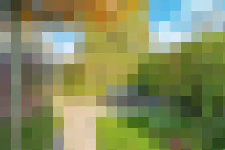 Salviastraat 7 Lent thumbnail 61