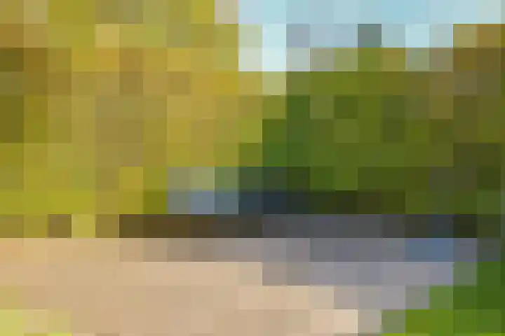 Salviastraat 7 Lent thumbnail 62