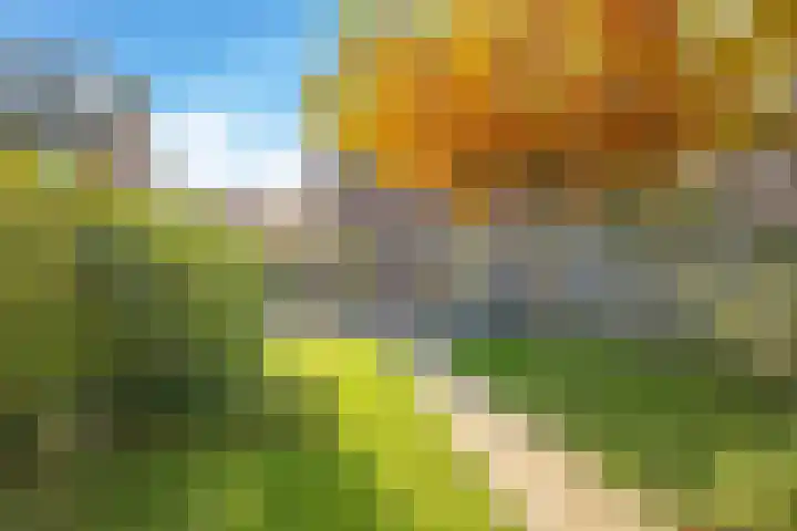 Salviastraat 7 Lent thumbnail 64