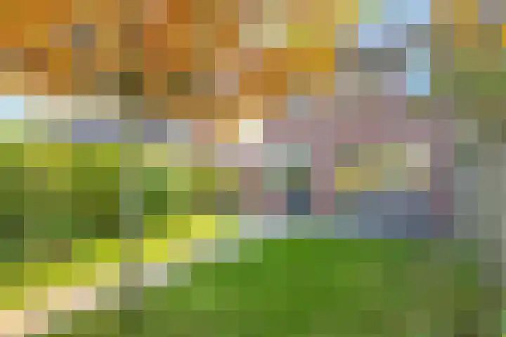 Salviastraat 7 Lent thumbnail 65