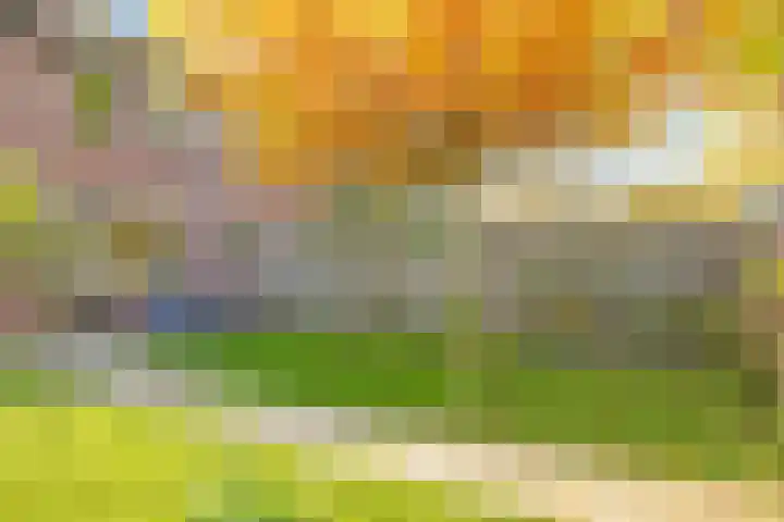 Salviastraat 7 Lent thumbnail 67