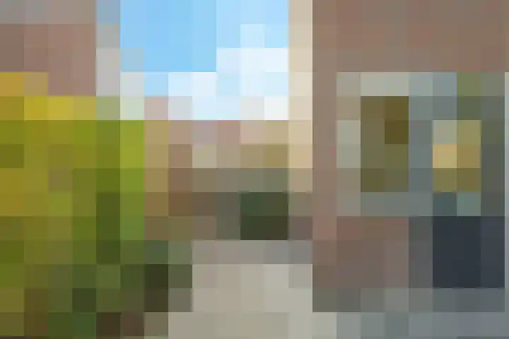Salviastraat 7 Lent thumbnail 69