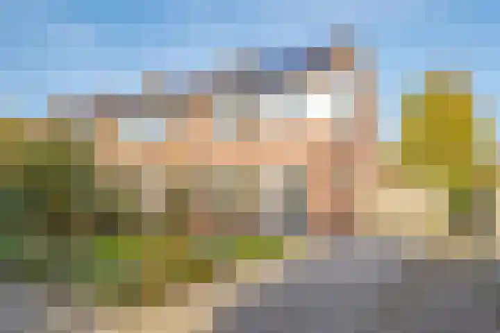 Salviastraat 7 Lent thumbnail 7