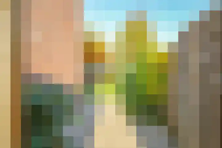 Salviastraat 7 Lent thumbnail 70