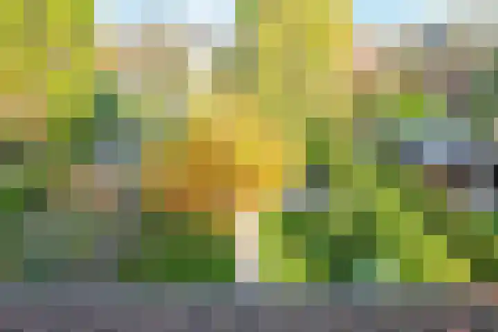 Salviastraat 7 Lent thumbnail 71