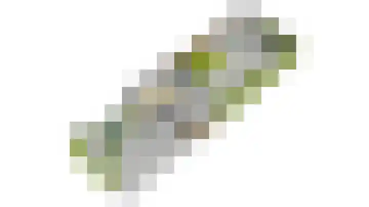 Salviastraat 7 Lent thumbnail 79