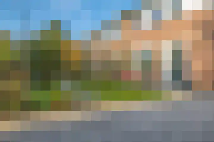 Salviastraat 7 Lent thumbnail 8