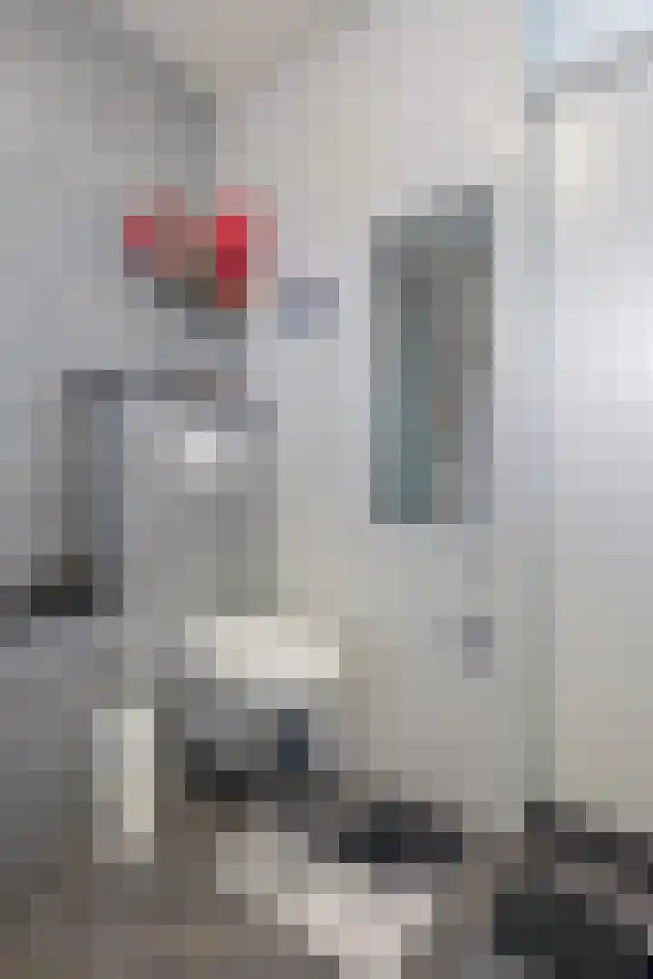Salviusstraat 22 Limbricht thumbnail 15