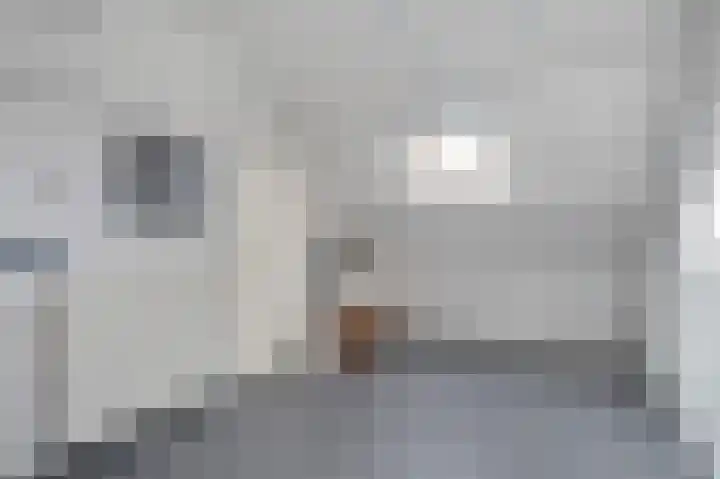 Salviusstraat 22 Limbricht thumbnail 21