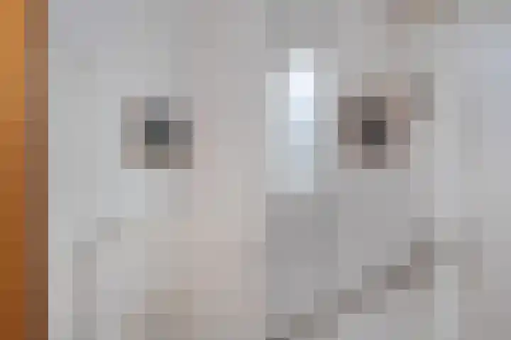 Salviusstraat 22 Limbricht thumbnail 22