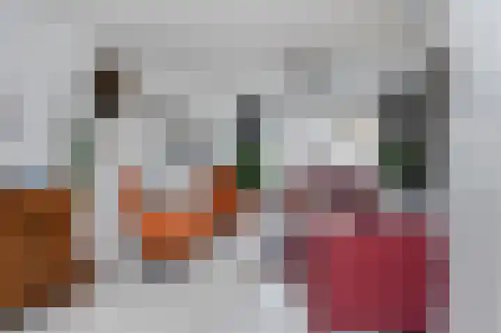 Salviusstraat 22 Limbricht thumbnail 23