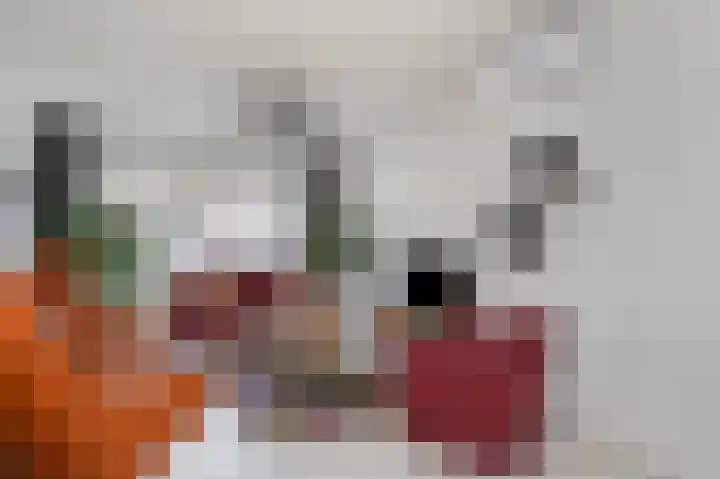 Salviusstraat 22 Limbricht thumbnail 24